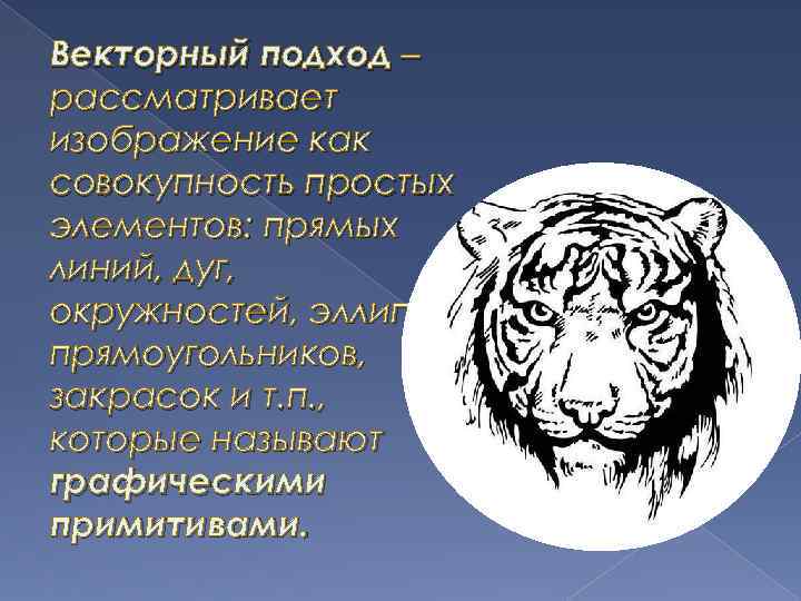 При векторном подходе изображение рассматривается как