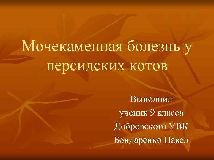 Мочекаменная болезнь у персидских котов Выполнил ученик 9 класса Добровского УВК Бондаренко Павел 