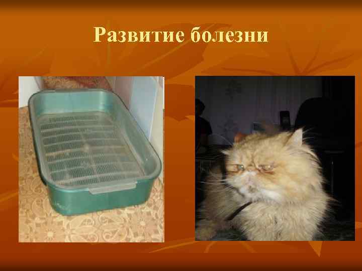 Развитие болезни 