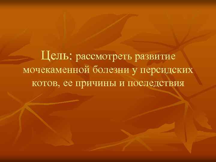 Цель: рассмотреть развитие мочекаменной болезни у персидских котов, ее причины и последствия 