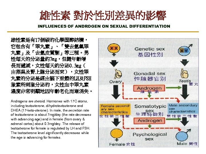 雄性素 對於性別差異的影響 INFLUENCES OF ANDROGEN ON SEXUAL DIFFERENTIATION 雄性素是有17個碳的化學固醇結構， 它包含有「睪丸素」、「雙去氫氧睪 丸素」及「去氫皮質酮」等三種。男 性每天的分泌量約7 mg，但隨年齡增 長而遞減，女性每天約分泌0.