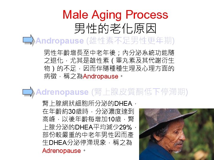 Male Aging Process 男性的老化原因 Andropause (雄性素不足男性更年期) 男性年齡增長至中老年後；內分泌系統功能隨 之退化，尤其是雄性素（睪丸素及其代謝衍生 物）的不足，因而伴隨種種生理及心理方面的 病徵，稱之為Andropause。 Adrenopause (腎上腺皮質酮低下停滯期) 腎上腺網狀細胞所分泌的DHEA， 在年齡約30歲時，分泌濃度達到