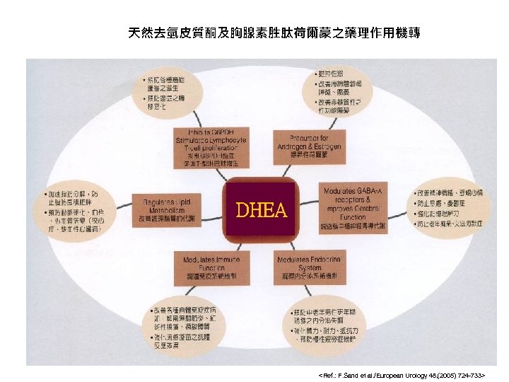 天然去氫皮質酮及胸腺素胜肽荷爾蒙之藥理作用機轉 DHEA <Ref. : F. Sand et al. /European Urology 48, (2005) 724 -733>