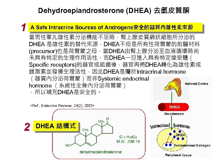 Dehydroepiandrosterone (DHEA) 去氫皮質酮 1 A Safe Intracrine Sources of Androgens安全的器質內雄性素來源 當男性睪丸雄性素分泌機能不足時，腎上腺皮質網狀細胞所分泌的 DHEA 是雄性素的替代來源，DHEA不但是所有性荷爾蒙的前驅材料 (precursor)也是荷爾蒙之母，當DHEA由腎上腺分泌至血液循環時尚