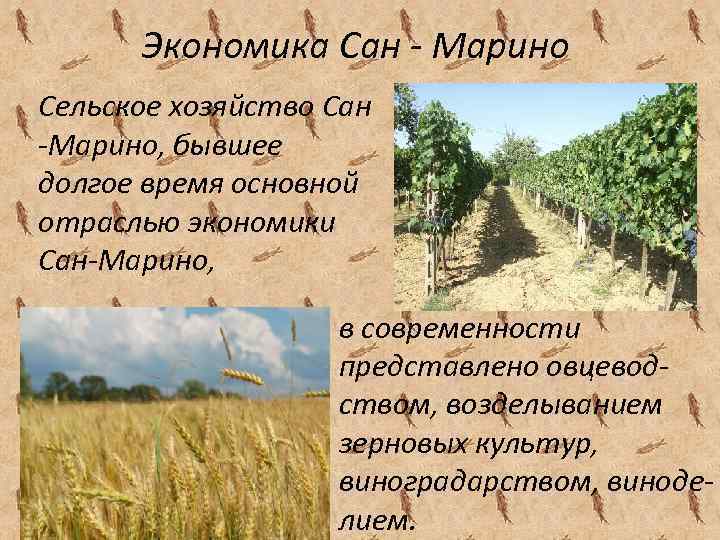 Сан марино презентация по географии