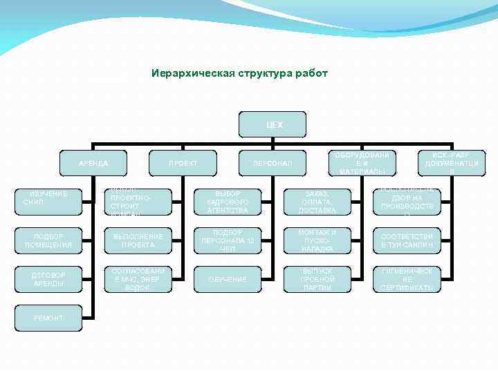 Иерархическая структура работ проекта