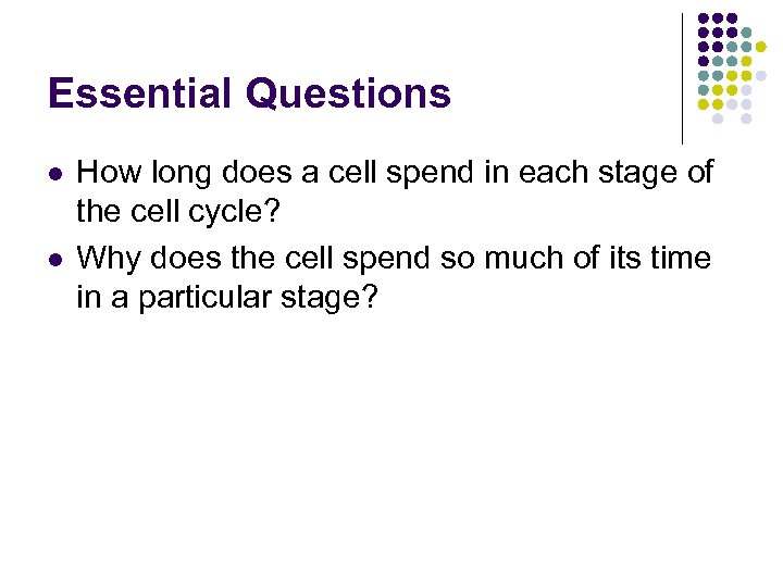 Essential Questions l l How long does a cell spend in each stage of