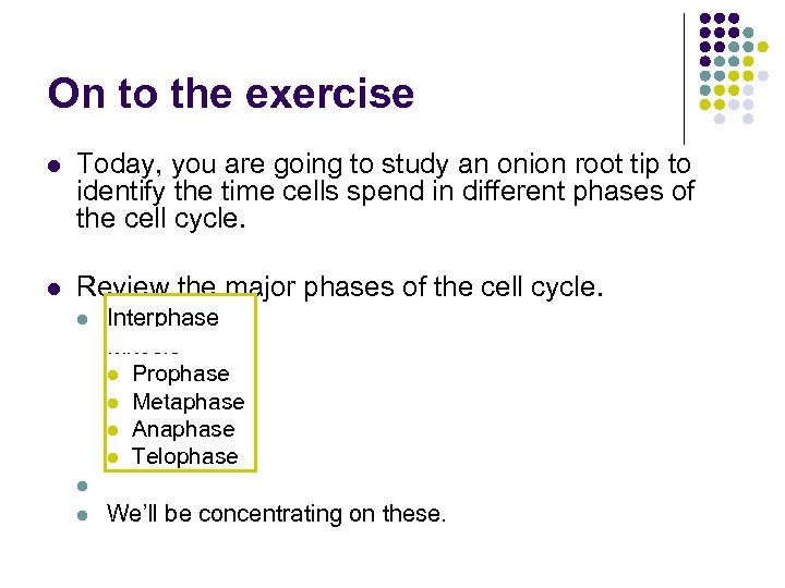 On to the exercise l Today, you are going to study an onion root