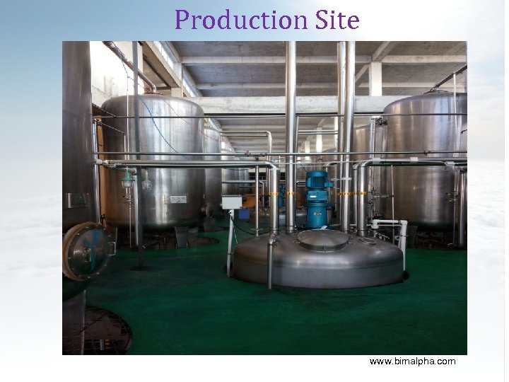 Production Site www. bimalpha. com 