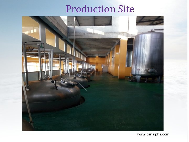 Production Site www. bimalpha. com 