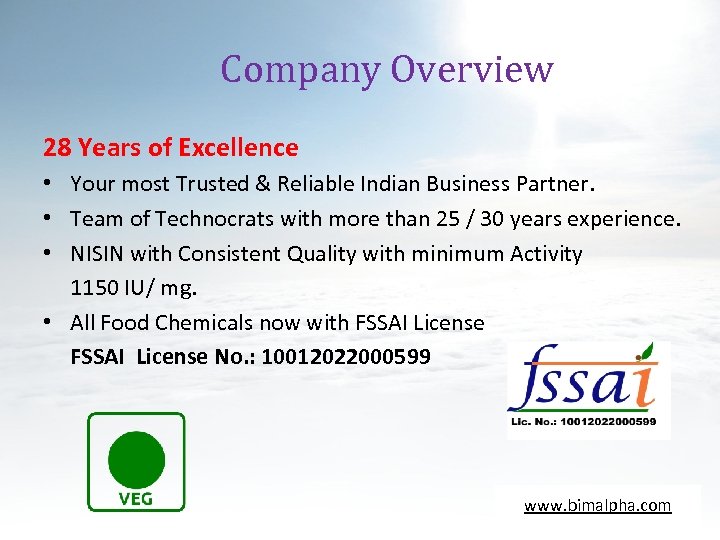 Company Overview 28 Years of Excellence • Your most Trusted & Reliable Indian Business