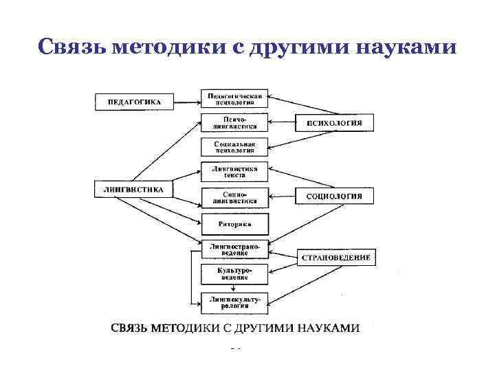 Схема связь дошкольной лингводидактики с другими науками