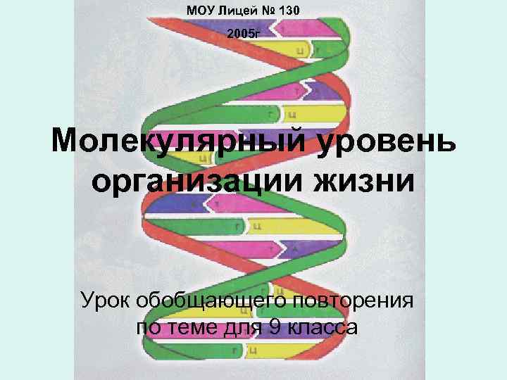 МОУ Лицей № 130 2005 г Молекулярный уровень организации жизни Урок обобщающего повторения по