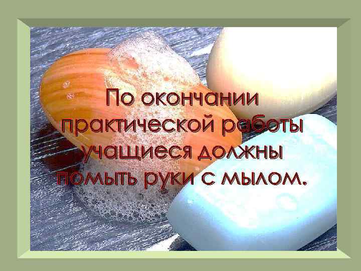 По окончании практической работы учащиеся должны помыть руки с мылом. 