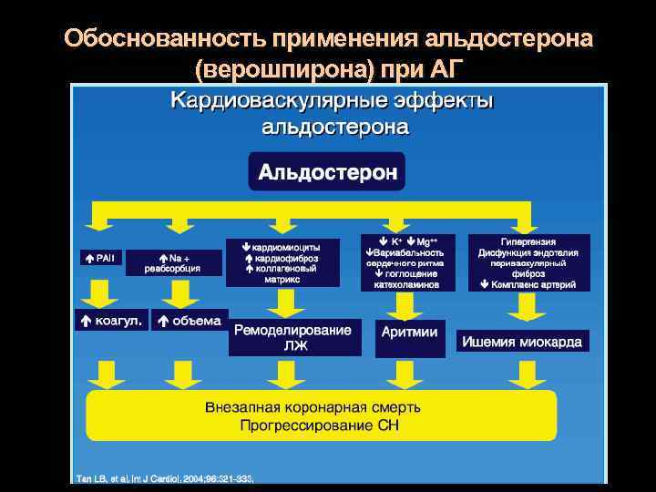 Обоснованность применения альдостерона (верошпирона) при АГ 