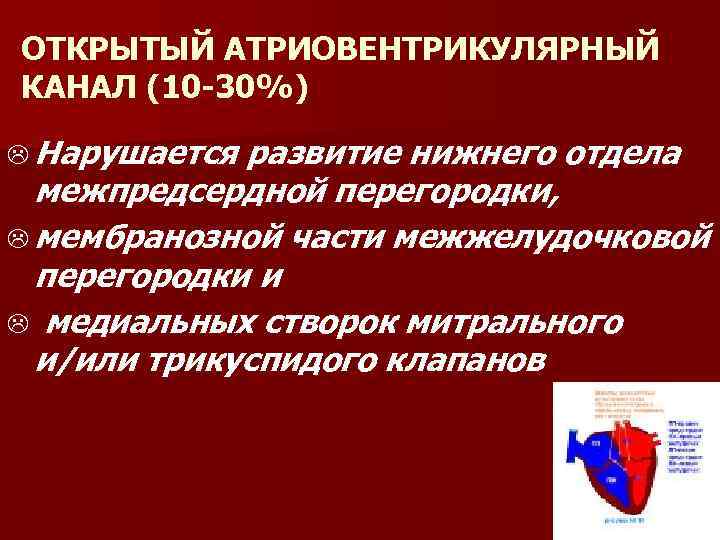 ОТКРЫТЫЙ АТРИОВЕНТРИКУЛЯРНЫЙ КАНАЛ (10 30%) L Нарушается развитие нижнего отдела межпредсердной перегородки, L мембранозной