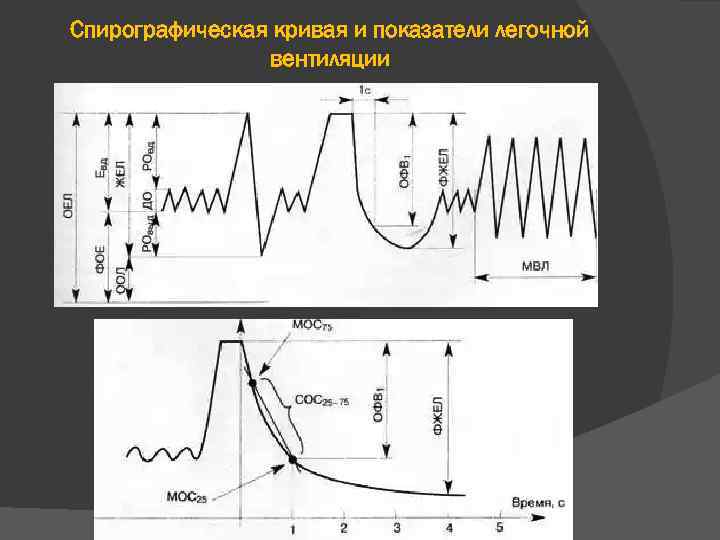 Спирографическая кривая и показатели легочной вентиляции 