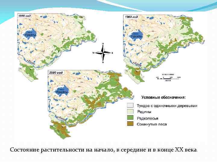 Состояние растительности на начало, в середине и в конце ХХ века. 