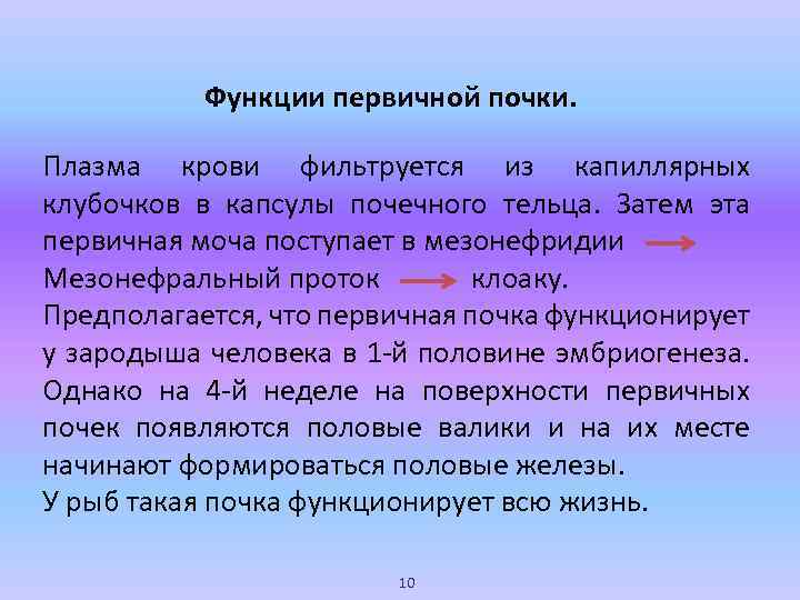Функции первичной почки. Плазма крови фильтруется из капиллярных клубочков в капсулы почечного тельца. Затем
