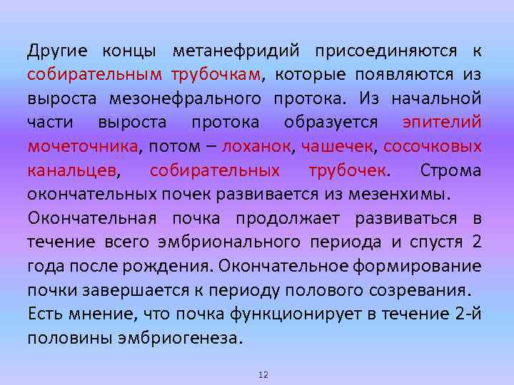 Другие концы метанефридий присоединяются к собирательным трубочкам, которые появляются из выроста мезонефрального протока. Из