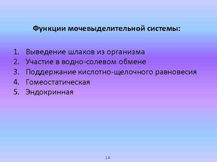 Функции мочевыделительной системы: 1. 2. 3. 4. 5. Выведение шлаков из организма Участие в