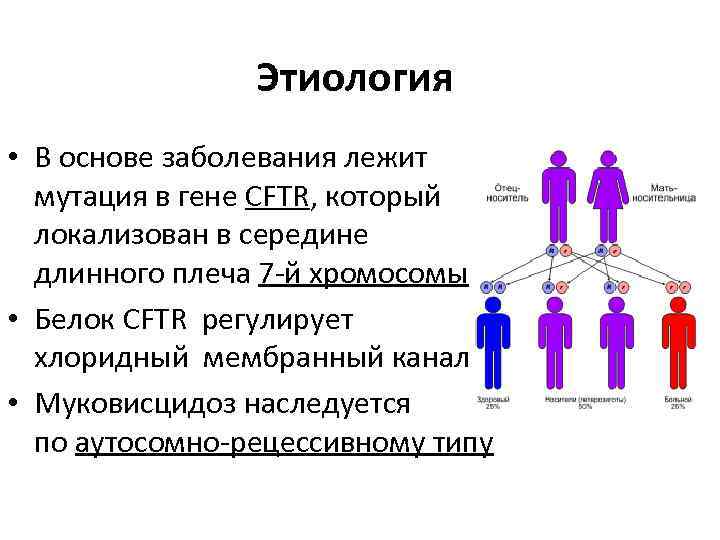 Этиология • В основе заболевания лежит мутация в гене CFTR, который локализован в середине
