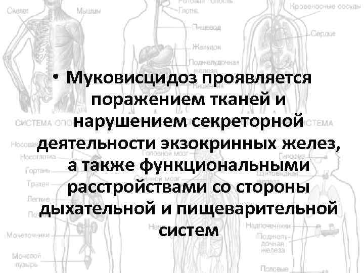  • Муковисцидоз проявляется поражением тканей и нарушением секреторной деятельности экзокринных желез, а также