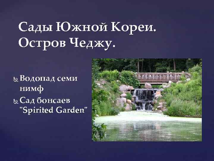 Сады Южной Кореи. Остров Чеджу. Водопад семи нимф Сад бонсаев 