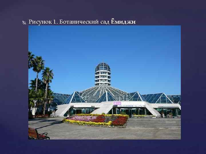  Рисунок 1. Ботанический сад Ёмиджи 