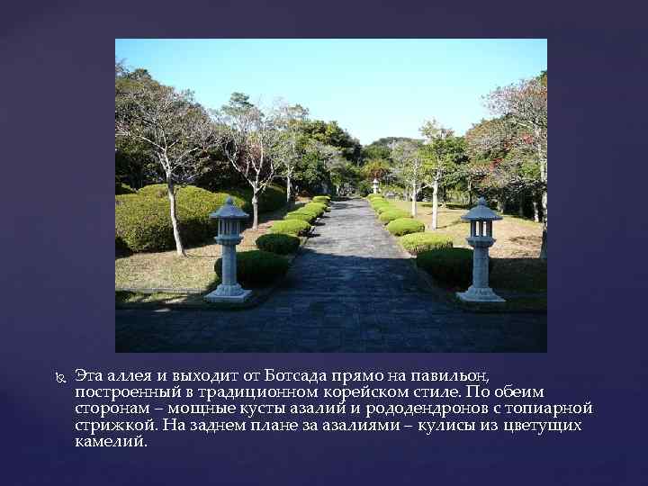  Эта аллея и выходит от Ботсада прямо на павильон, построенный в традиционном корейском
