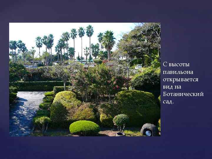  С высоты павильона открывается вид на Ботанический сад. 