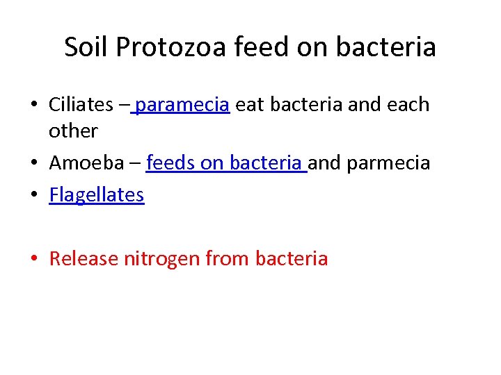 Soil Protozoa feed on bacteria • Ciliates – paramecia eat bacteria and each other