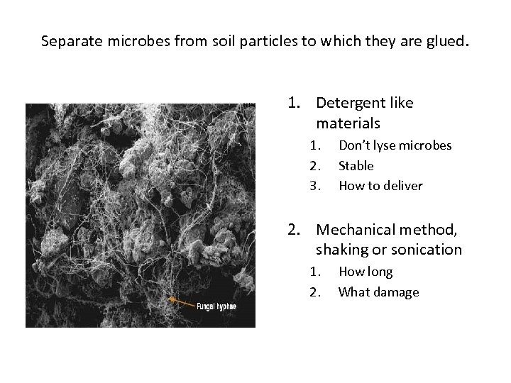 Separate microbes from soil particles to which they are glued. 1. Detergent like materials