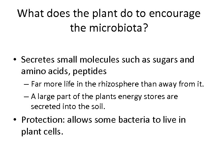 What does the plant do to encourage the microbiota? • Secretes small molecules such