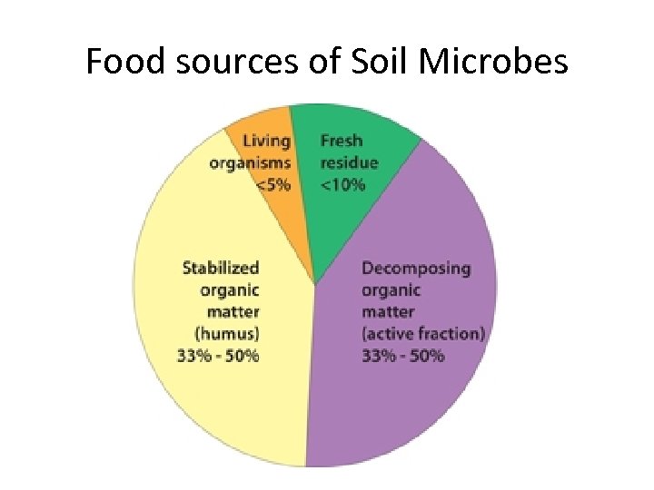 Food sources of Soil Microbes 