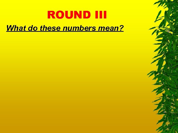 ROUND III What do these numbers mean? 