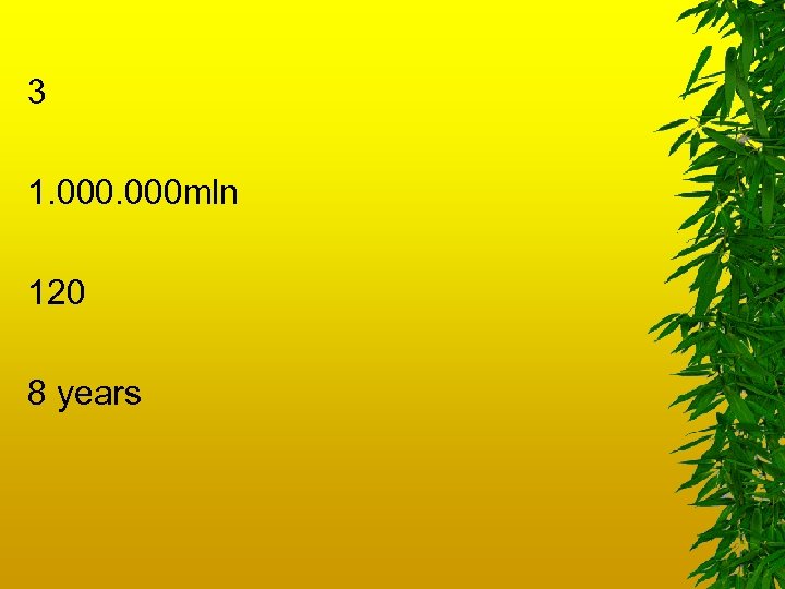 3 1. 000 mln 120 8 years 