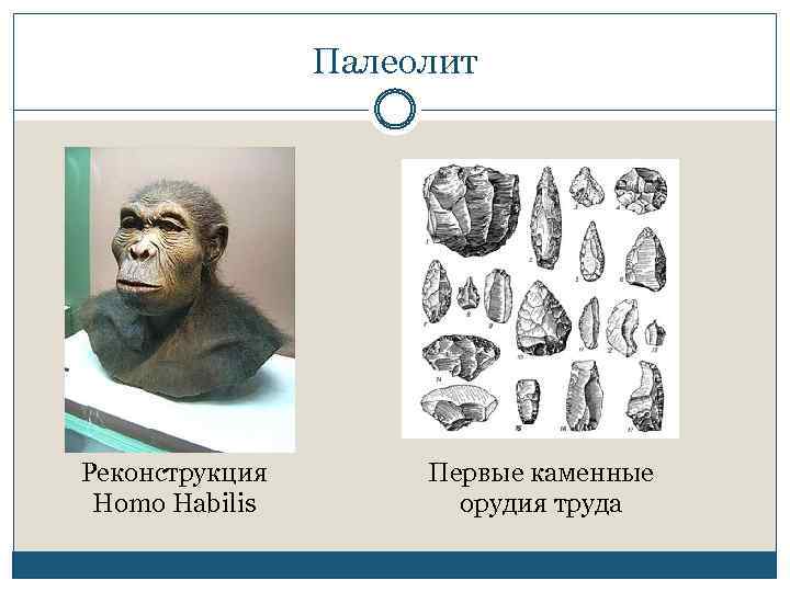 Палеолит Реконструкция Homo Habilis Первые каменные орудия труда 