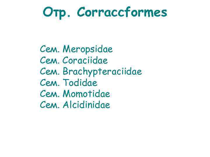 Отр. Corraccformes Сем. Meropsidae Coraciidae Brachypteraciidae Todidae Momotidae Alcidinidae 