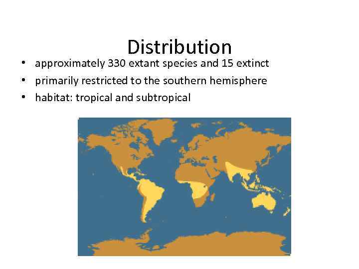 Distribution • approximately 330 extant species and 15 extinct • primarily restricted to the