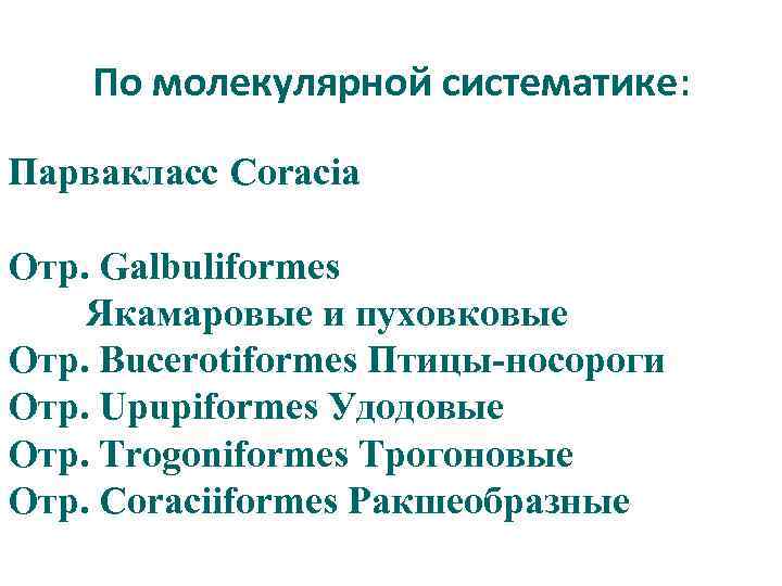 По молекулярной систематике: Парвакласс Coracia Отр. Galbuliformes Якамаровые и пуховковые Отр. Bucerotiformes Птицы-носороги Отр.