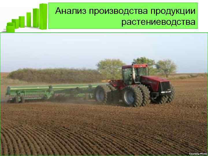 Анализ производства продукции растениеводства 