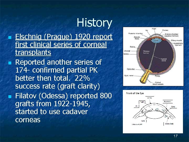 History n n n Elschnig (Prague) 1920 report first clinical series of corneal transplants