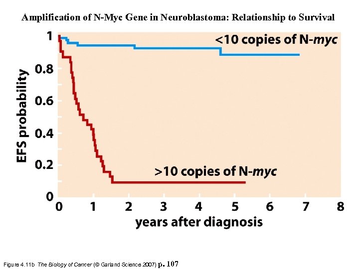 Amplification of N-Myc Gene in Neuroblastoma: Relationship to Survival Figure 4. 11 b The