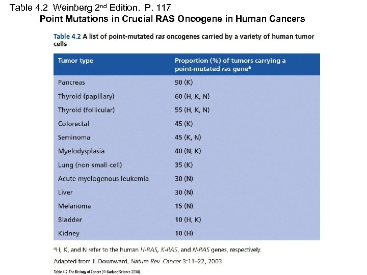 Table 4. 2 Weinberg 2 nd Edition. P. 117 Point Mutations in Crucial RAS