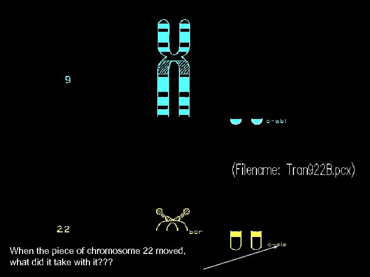 When the piece of chromosome 22 moved, what did it take with it? ?