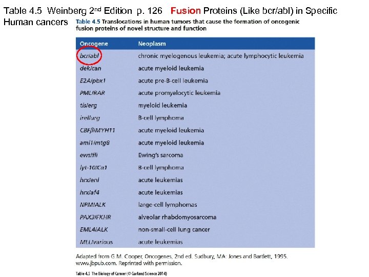 Table 4. 5 Weinberg 2 nd Edition p. 126 Fusion Proteins (Like bcr/abl) in