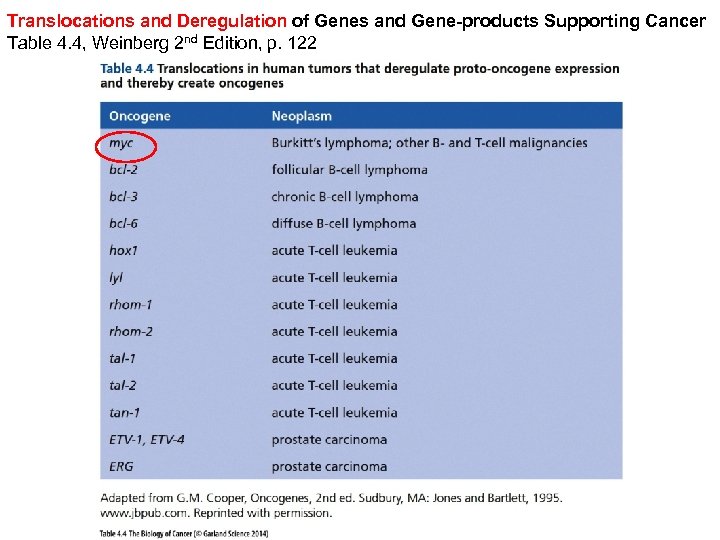 Translocations and Deregulation of Genes and Gene-products Supporting Cancer Table 4. 4, Weinberg 2