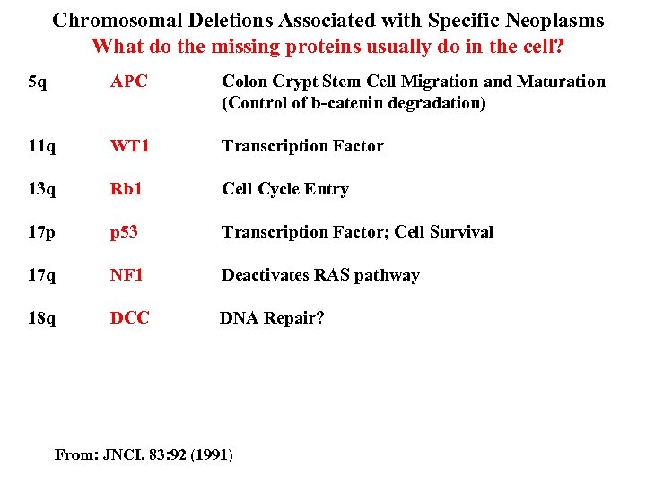 Chromosomal Deletions Associated with Specific Neoplasms What do the missing proteins usually do in