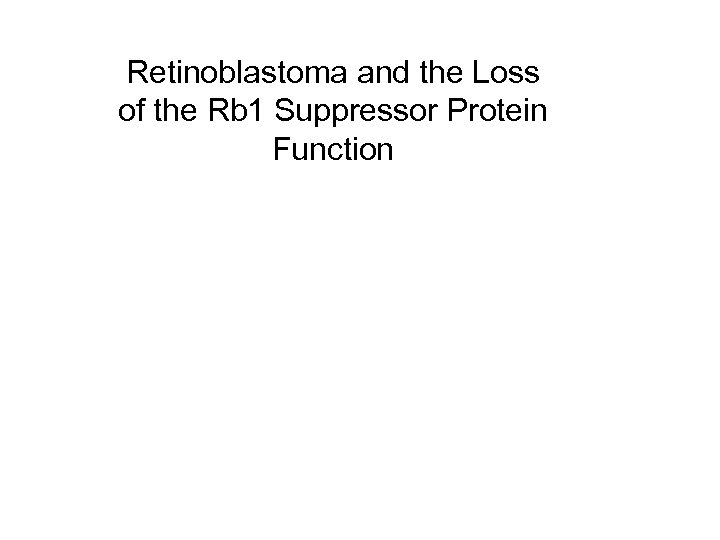 Retinoblastoma and the Loss of the Rb 1 Suppressor Protein Function 